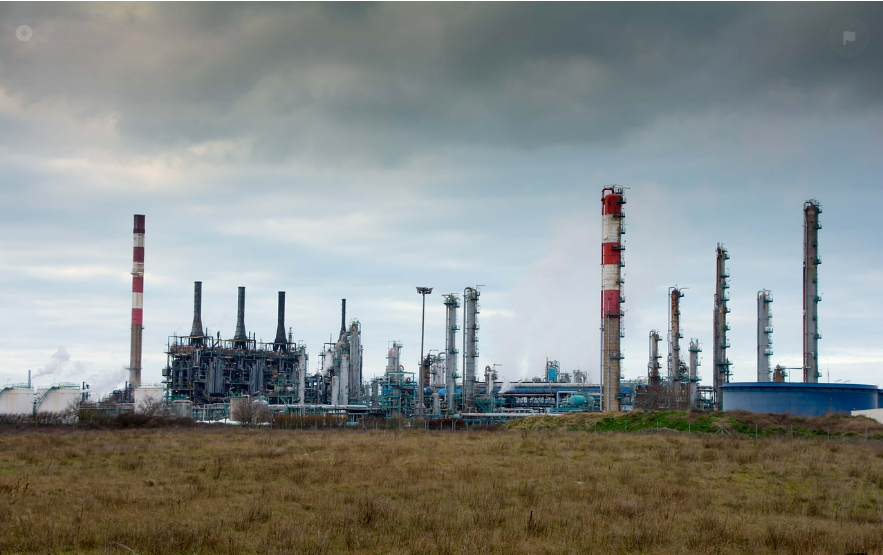 1724658089684532.png 31.png